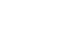 Rise Online World ikon